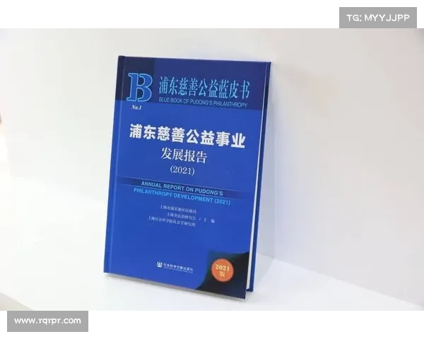 成功获得五星慈善等级的典型案例分析及其经验总结